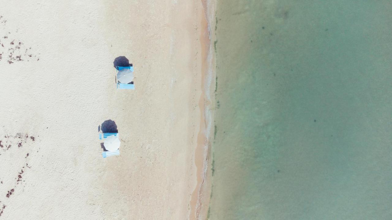 B&B Il Mare In Una Stanza 奥托纳 外观 照片